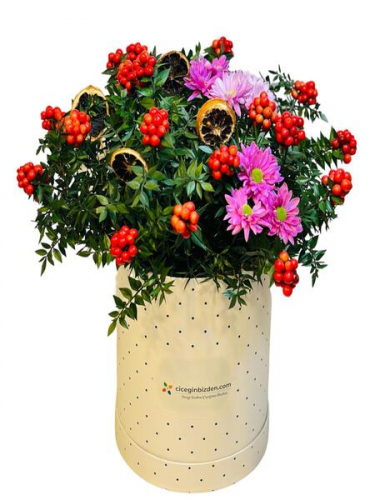 Benekli Kutuda Kokinalar ve Pembe Papatyalar