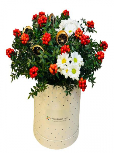 Benekli Kutuda Papatya ve Kokinalar