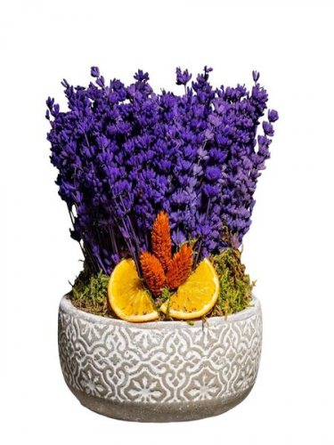 Dekor Saksıda Lavantalar