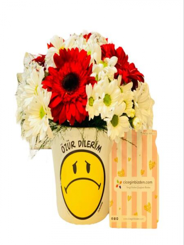 Beni Affet Çiçekleri