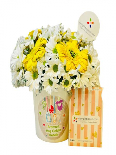 Hoşgeldin Minik Bebek