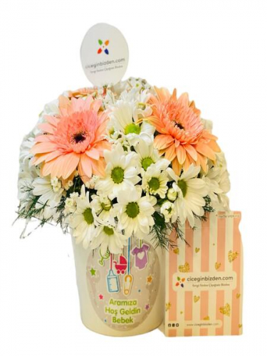 Hoşgeldin Bebek Papatyaları